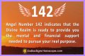 
ANGEL NUMBER 142
