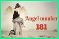 
ANGEL NUMBER 181
