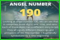 
ANGEL NUMBER 190
