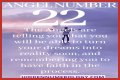 
ANGEL NUMBER 22
