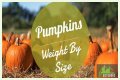 How Much Does Pumpkin Make Per Episode On Mama June?