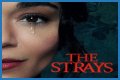 “The Strays” Is Set To Released On Netflix
